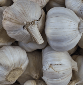 best foods for kidneys: garlic